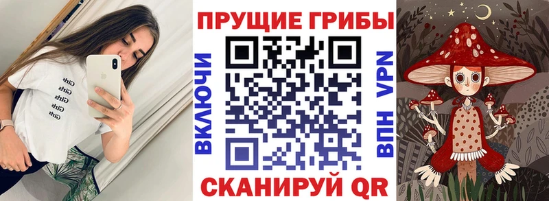 Купить  Болотное  Галлюциногенные грибы MAGIC MUSHROOMS 